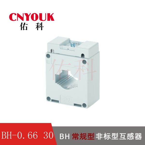 BH 0.66 I 电流互感器