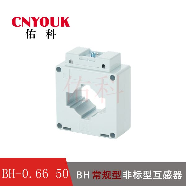 BH-0.66 50I 电流互感器
