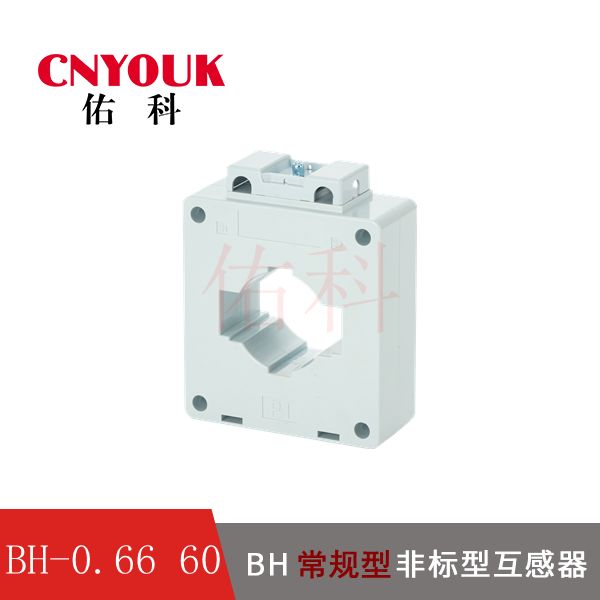 BH-0.66 60I 电流互感器