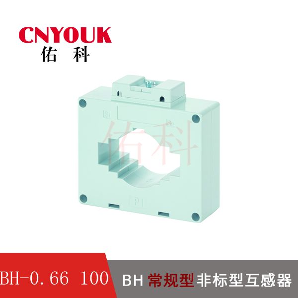 BH-0.66 100I 电流互感器